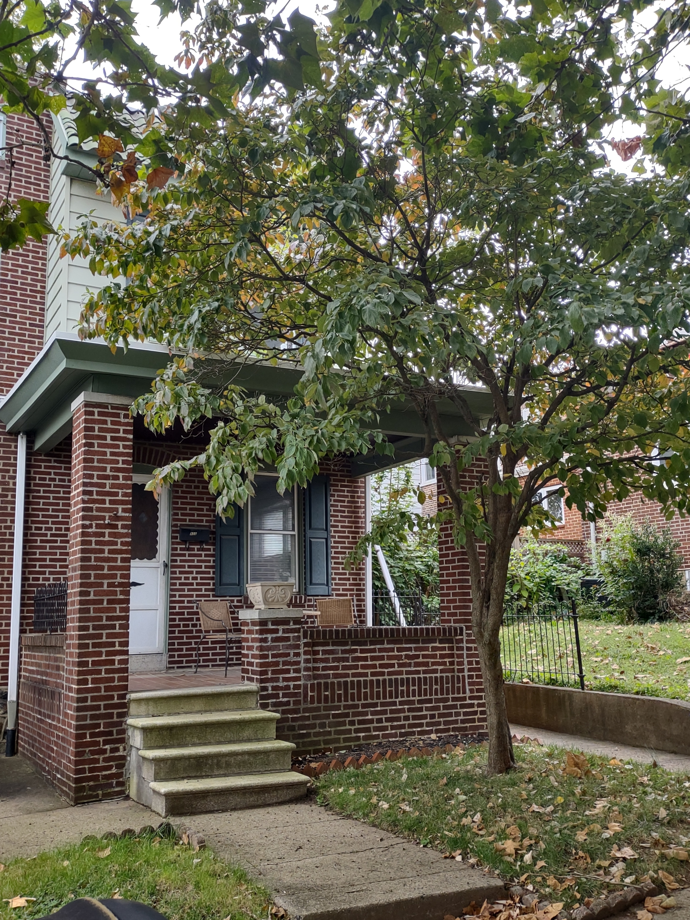 900 N. Clayton Street